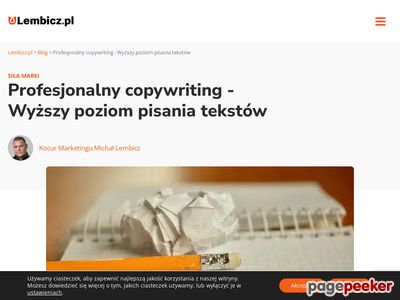 Opisy, teksty, artykuły - profesjonalnycopywriter.pl
