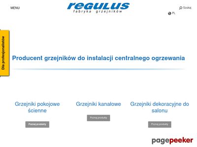 Producent grzejników - regulus.com.pl