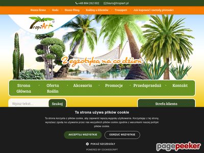 TropiArt - wybór palm i agaw