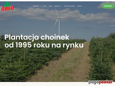 Plantacja choinek - orfo.pl