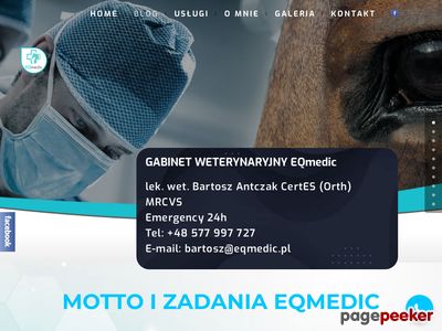 Gabinet weterynaryjny Eqmedic - leczenie kolek u koni.